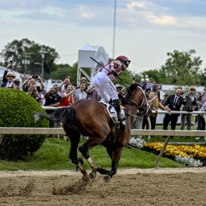 Preakness Stakes wagering strategies