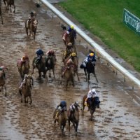 Preakness Stakes wagering strategies
