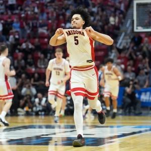 Sweet 16 bracket picks Brayden Burries Arizona Wildcats