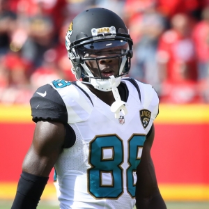 Allen Hurns Jacksonville Jaguars