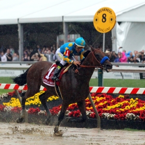 American Pharoah, racehorse