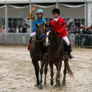 American Pharoah, racehorse