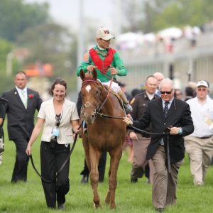 Kentucky Derby winner Animal Kingdom