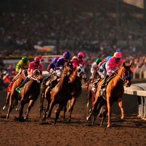 Breeders' Cup Blind Luck 