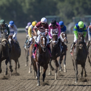 Breeders Cup Dirt Mile