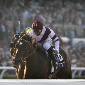 Breeders' Cup Ladies' Classic