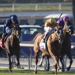 Breeders' Cup Mile