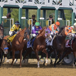 Kentucky Derby and Preakness winner California Chrome