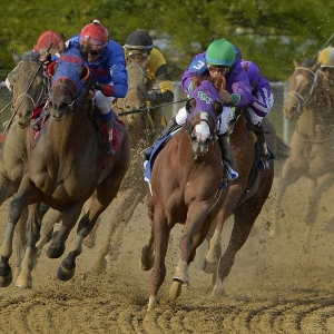 California Chrome