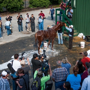 Kentucky Derby winner I'll Have Another