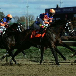 Jockey John Valezquez (7) rides Uncle Mo