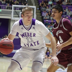 Michal Kozak Weber State Wildcats