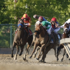 2010 Preakness Stakes