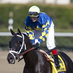 Jockey Rosie Napravnik
