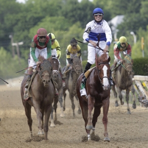 Shackleford, the Preakness Stakes Winner