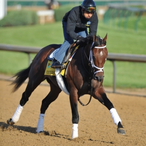 Stay Thirsty, trained by Todd Pletcher