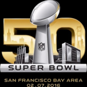 Super Bowl 47 Logo