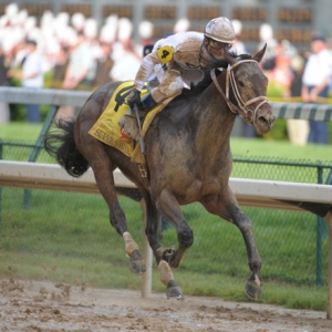 Kentucky Derby winner Super Saver