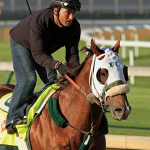 Take of Verve, racehorse