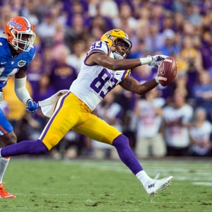 LSU Tigers wide receiver Travin Dural