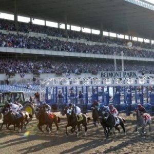 2011 belmont stakes