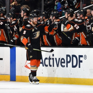 Anaheim Ducks defenseman Korbinian Holzer