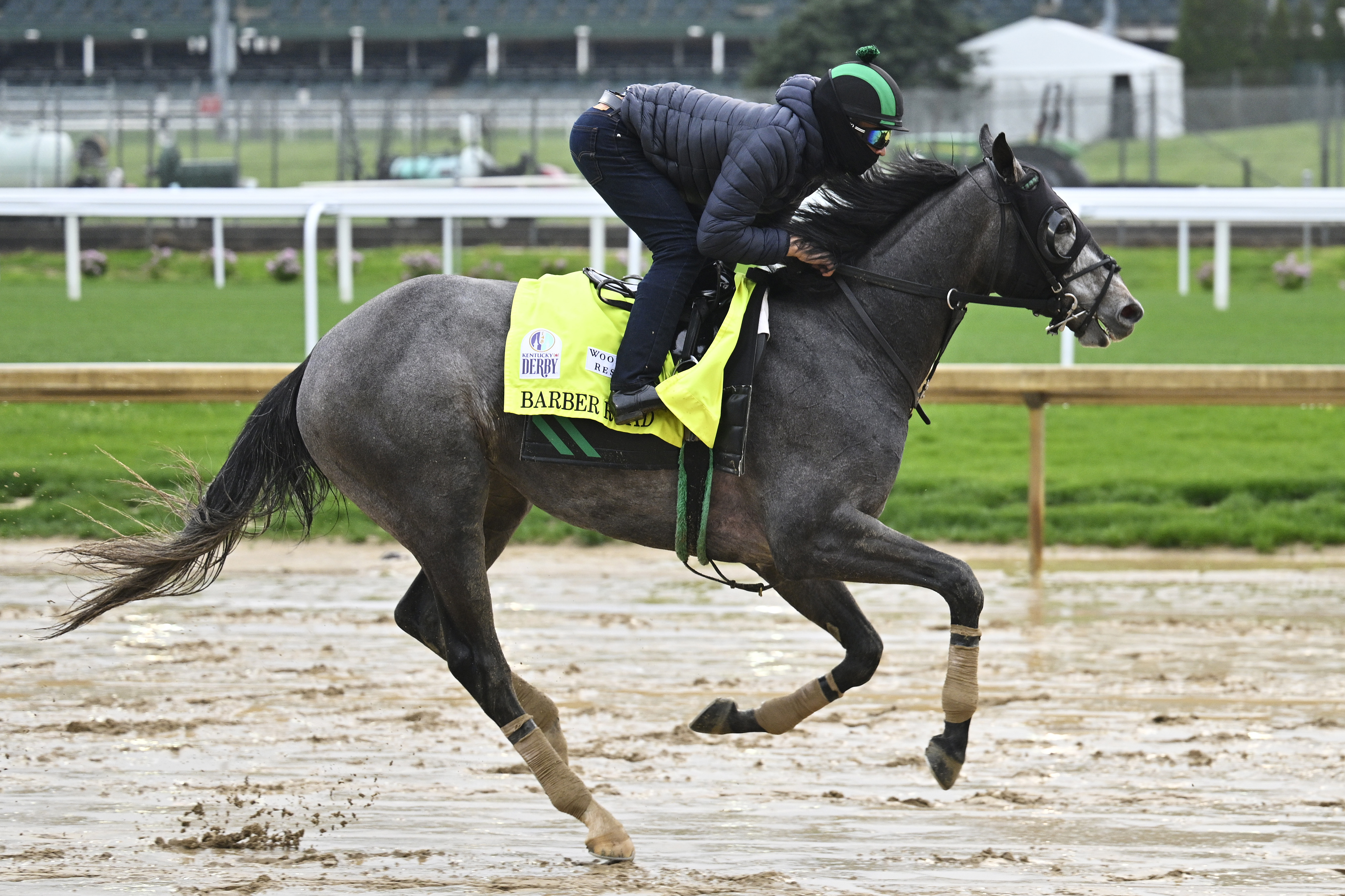 Belmont Stakes long shots Barber Road