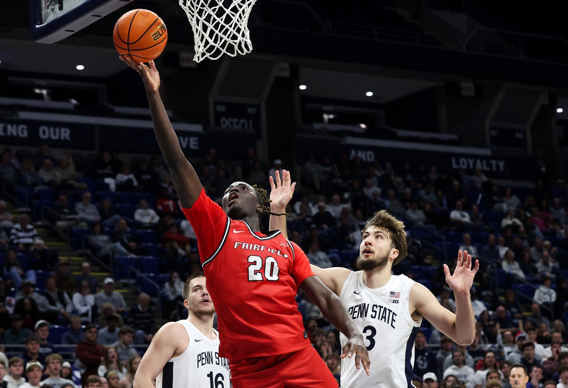 college basketball picks Brandon Benjamin Fairfield Stags predictions best bet odds