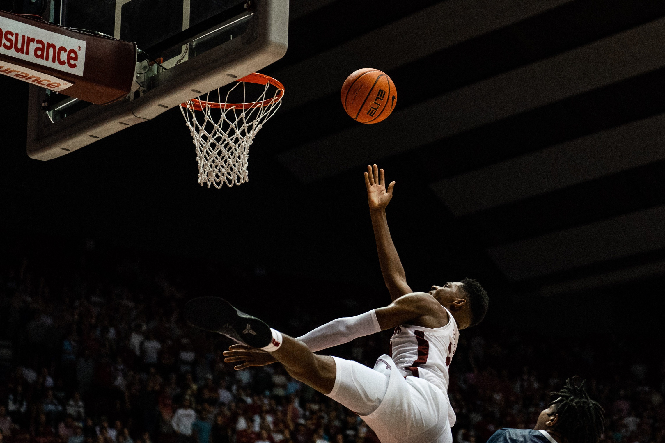 college basketball picks Brandon Miller Alabama Crimson Tide predictions best bet odds