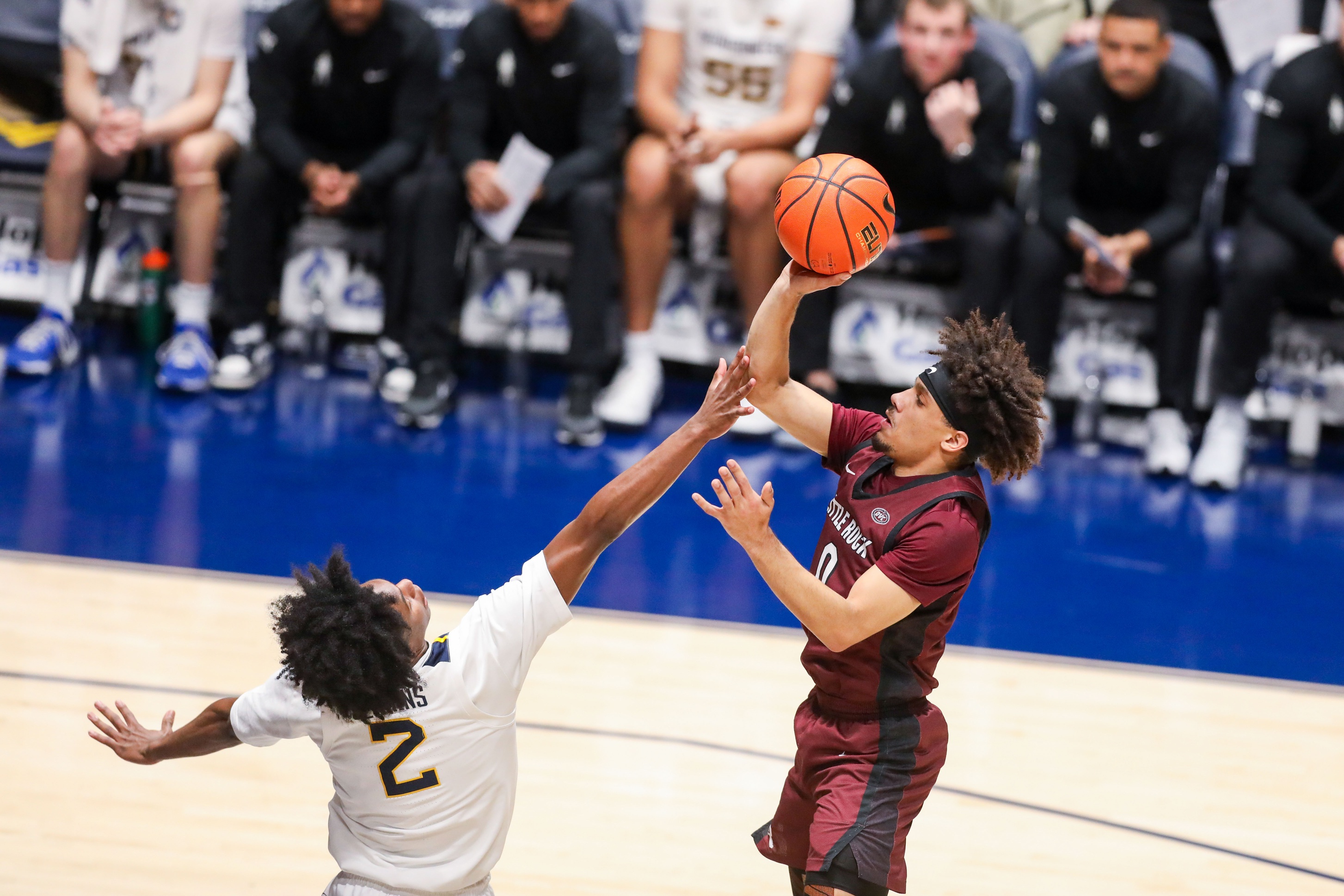 college basketball picks Braxton Bayless Little Rock Trojans predictions best bet odds