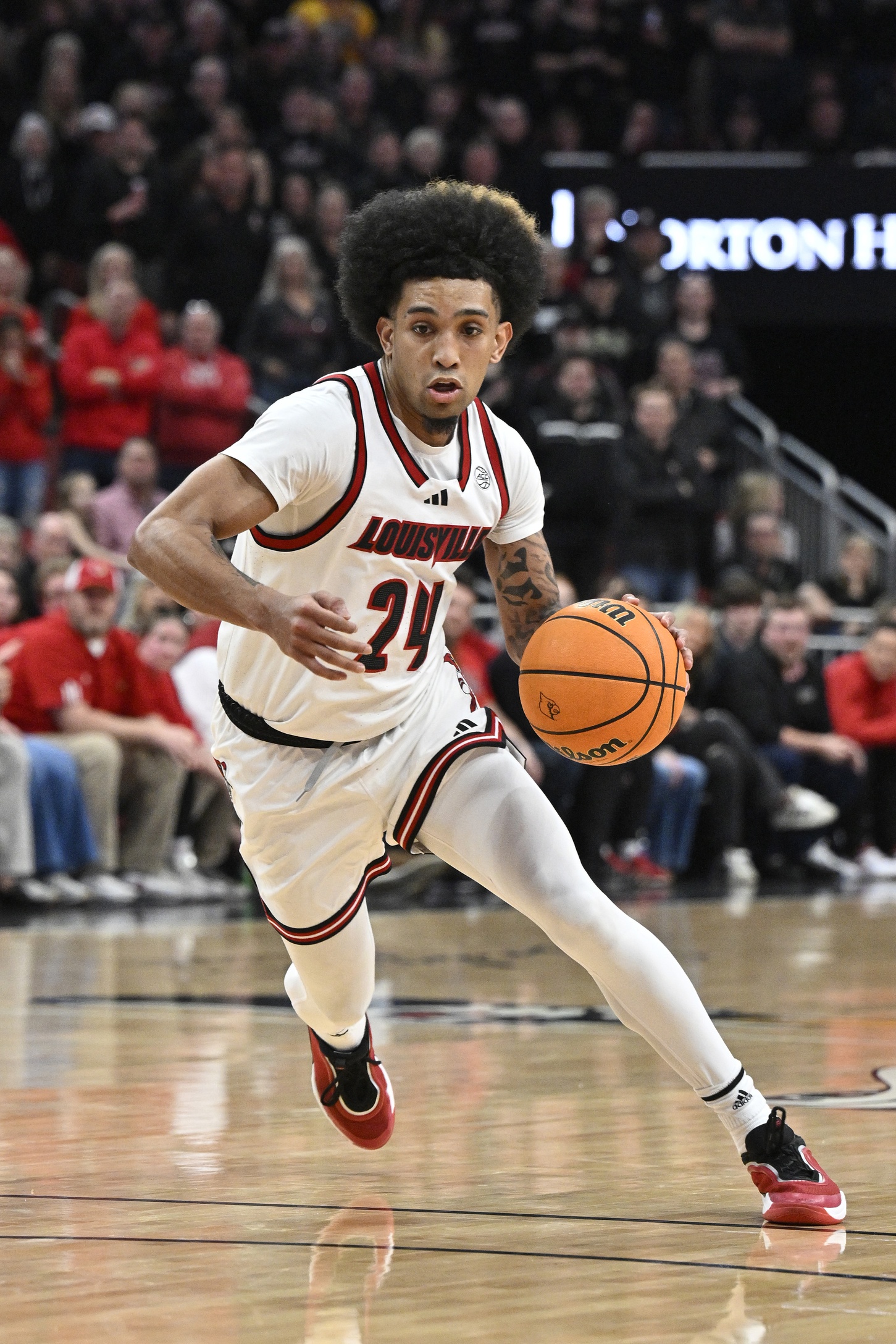 college basketball picks Chucky Hepburn Louisville Cardinals predictions best bet odds