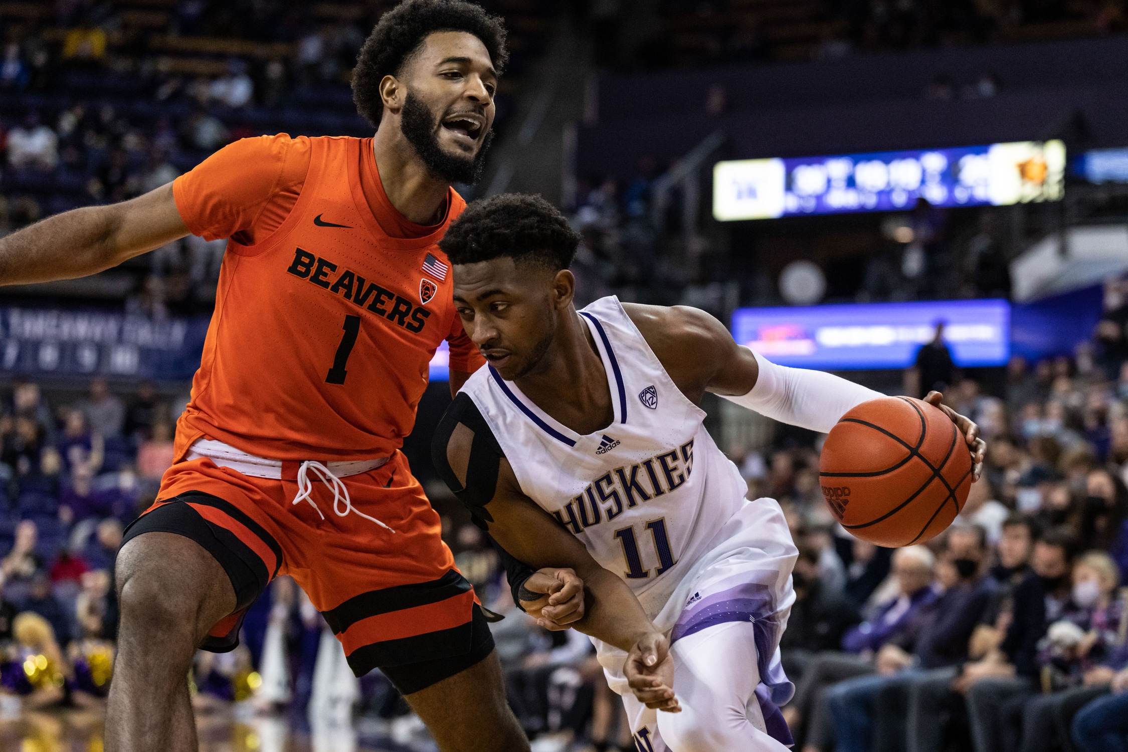 college basketball picks Daejon Davis Washington Huskies Washington Huskies predictions best bet odds