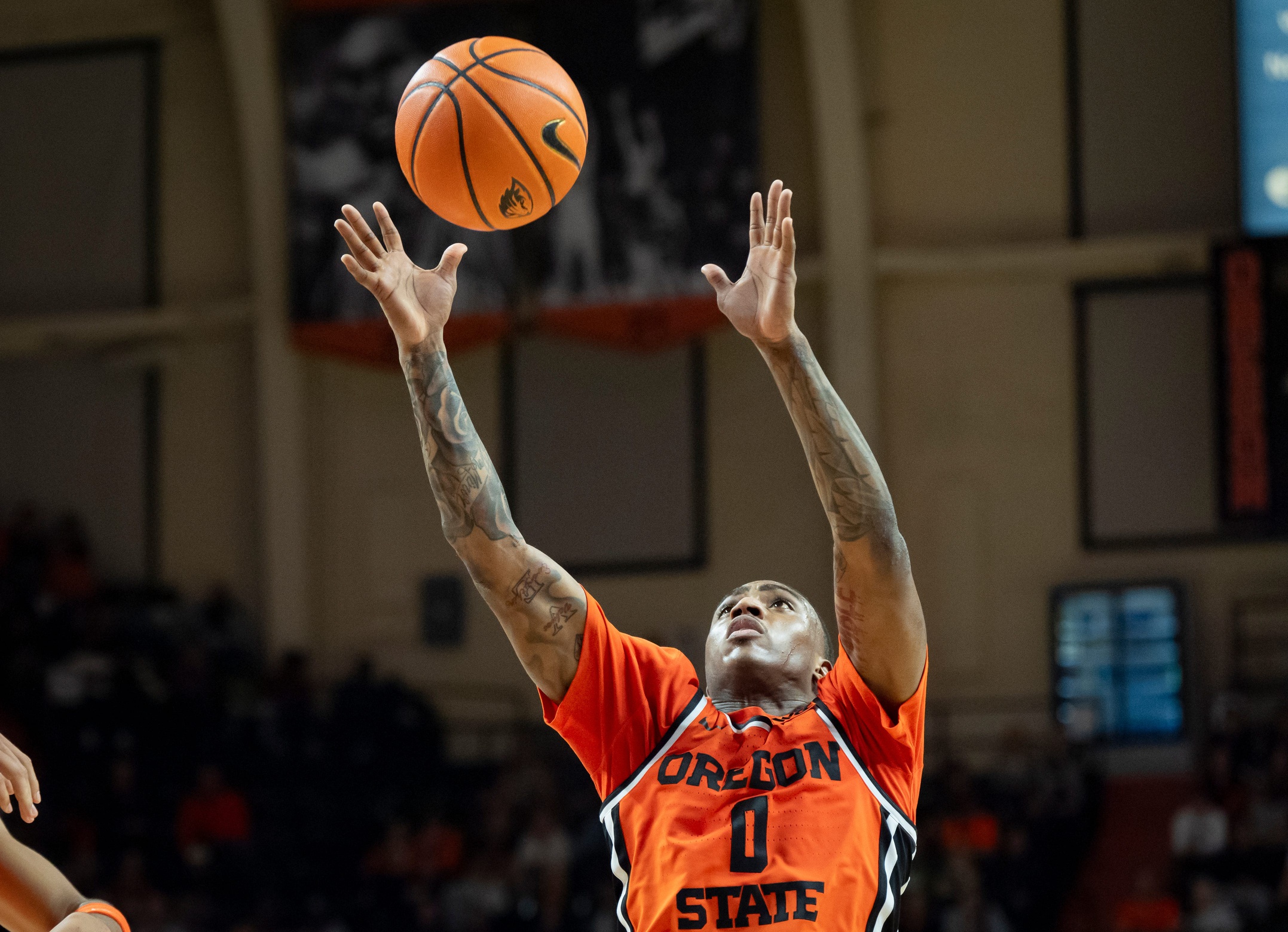 college basketball picks Damarco Minor Oregon State Beavers predictions best bet odds