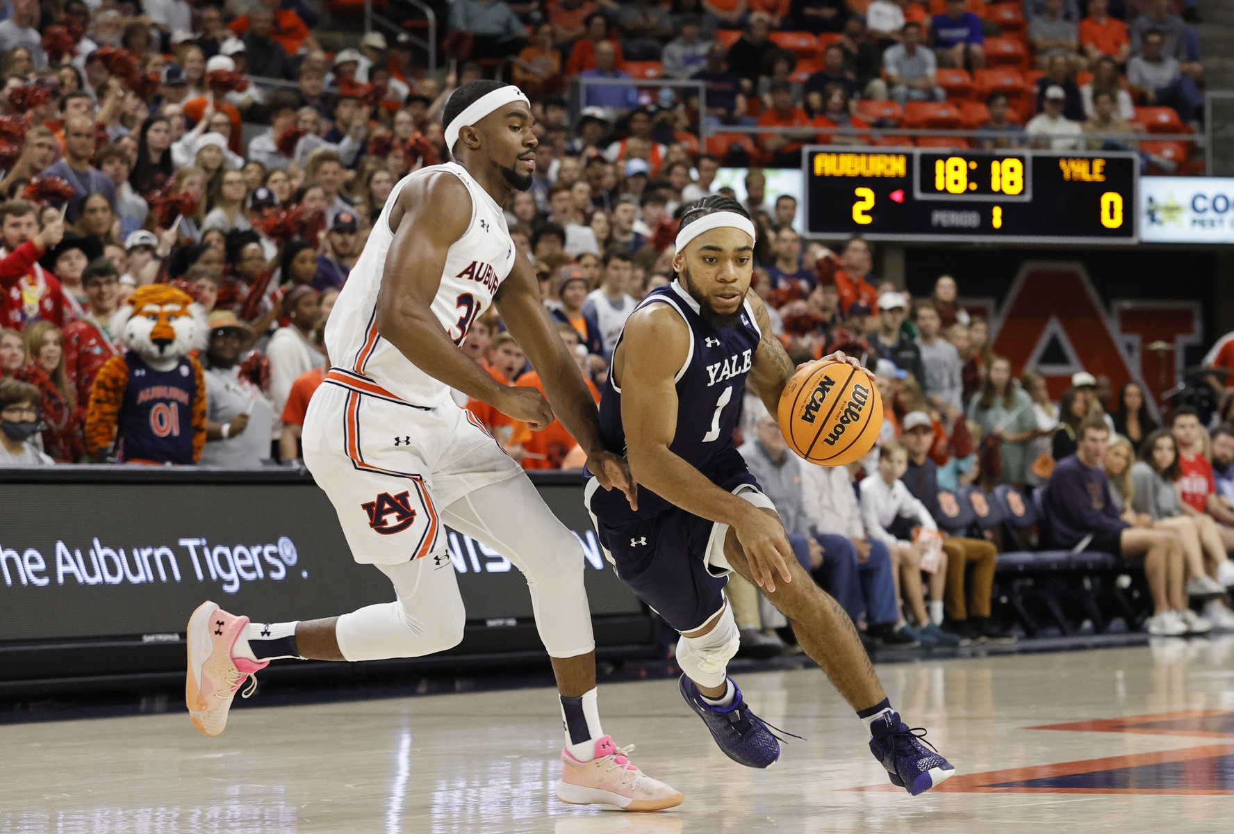 college basketball picks Devan Cambridge Auburn Tigers predictions best bet odds