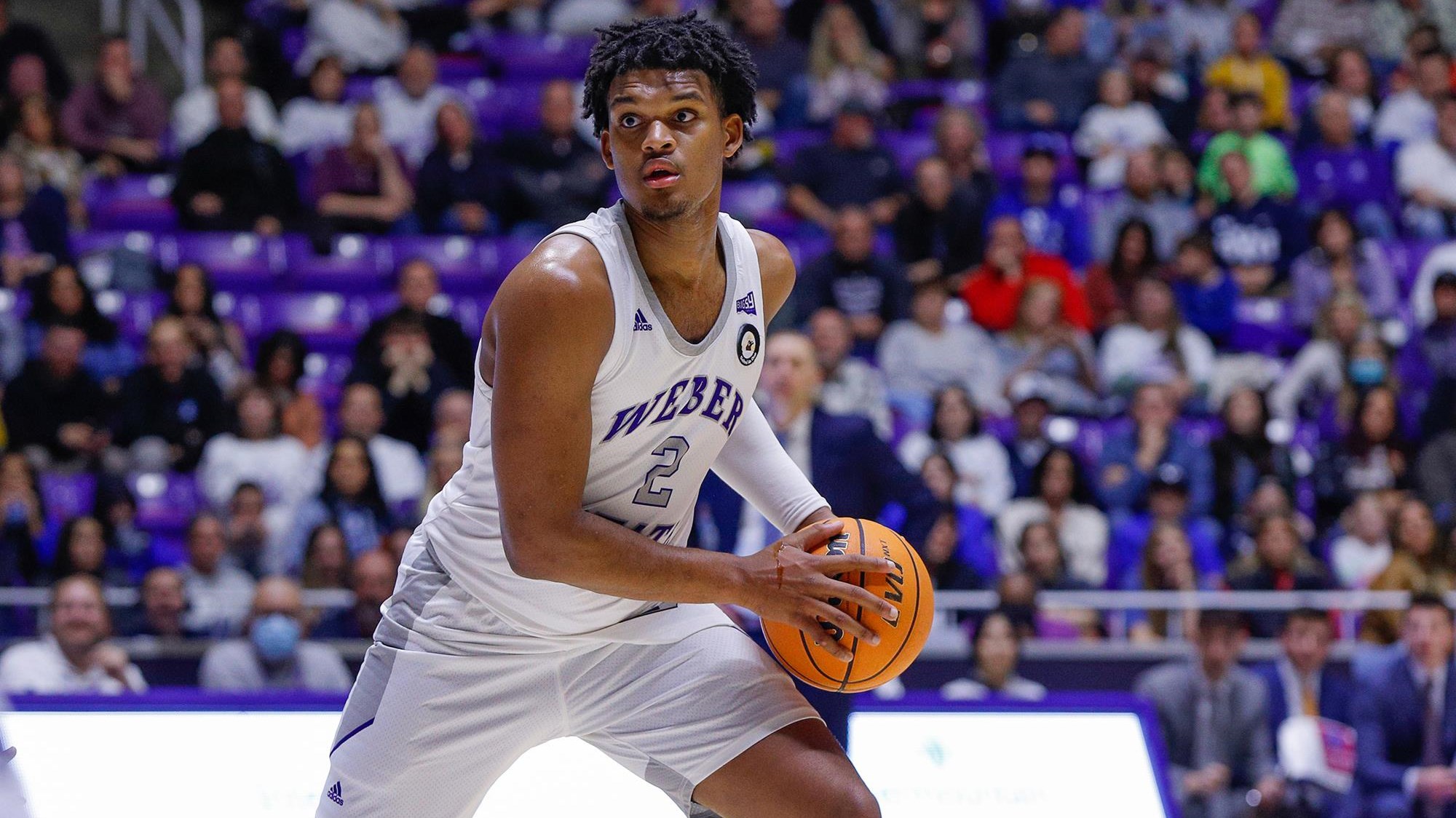 college basketball picks Dillon Jones Weber State Wildcats predictions best bet odds