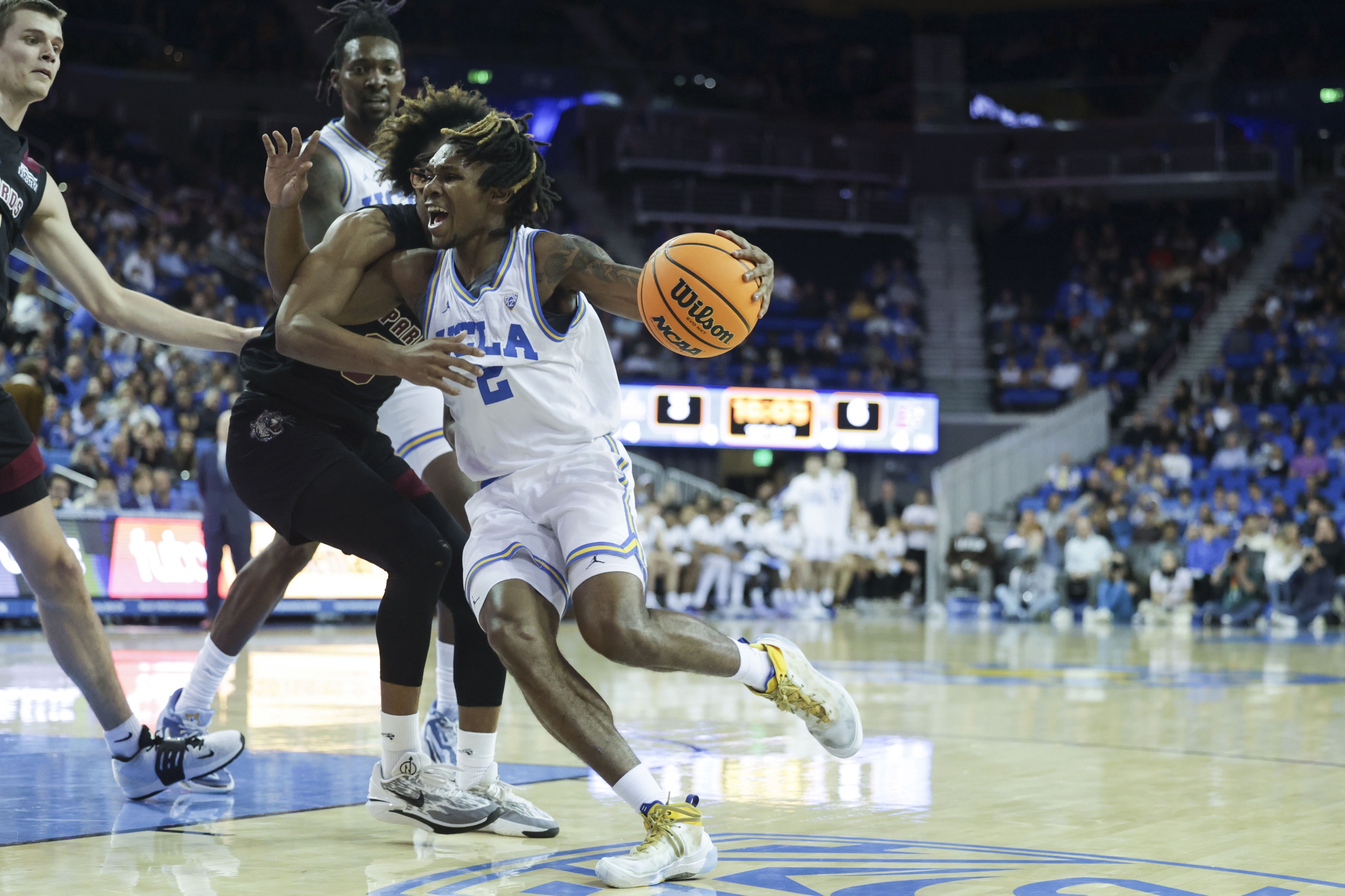 college basketball picks Dylan Andrews UCLA Bruins predictions best bet odds