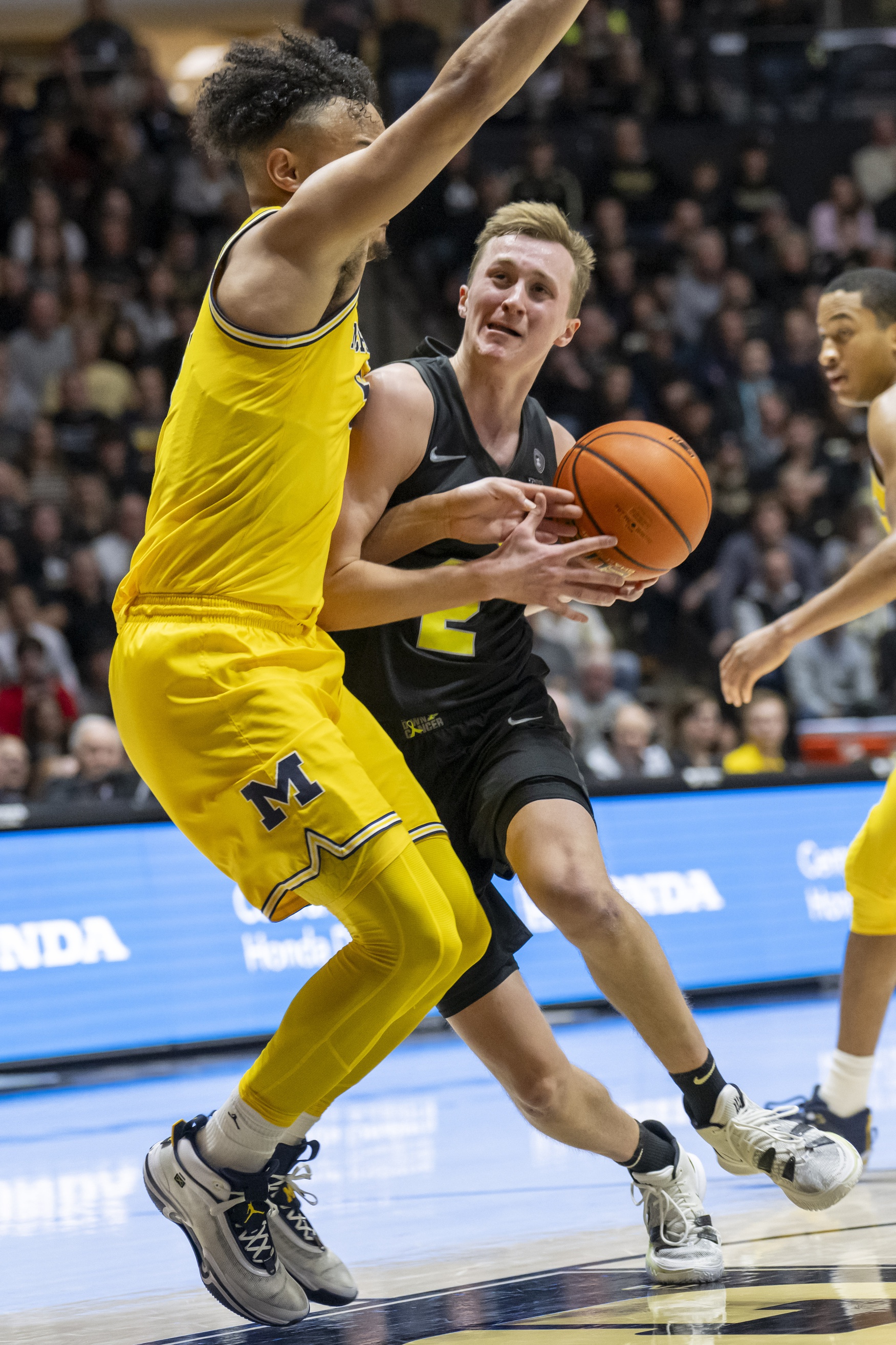 college basketball picks Fletcher Loyer Purdue Boilermakers predictions best bet odds