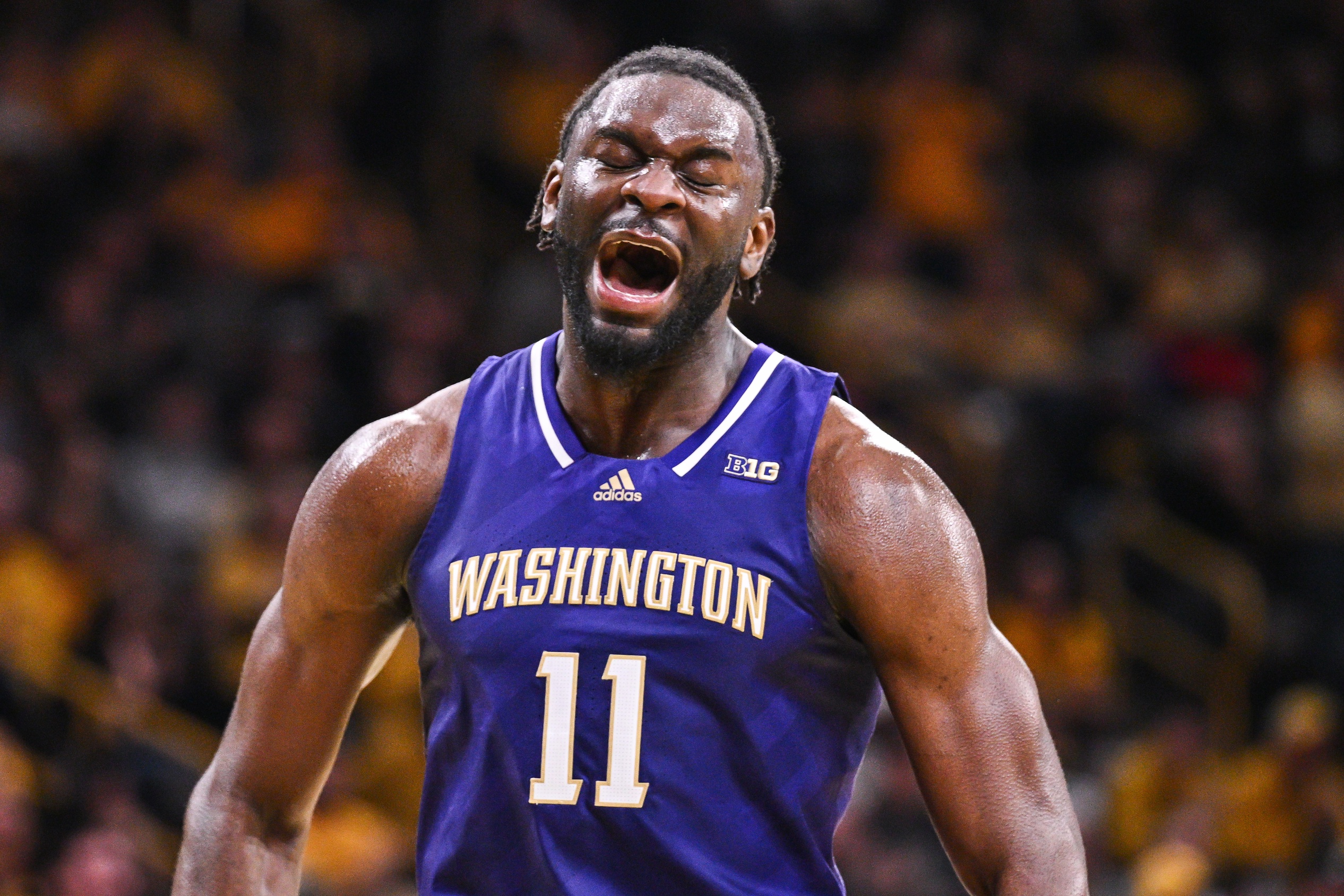 college basketball picks Franck Kepnang Washington Huskies predictions best bet odds