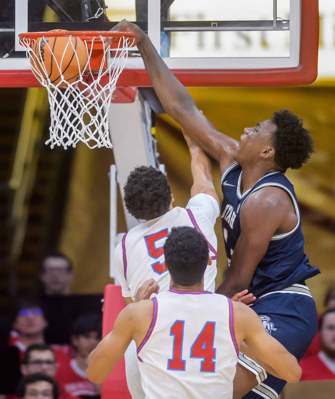 college basketball picks Great Osobor Utah State Aggies predictions best bet odds