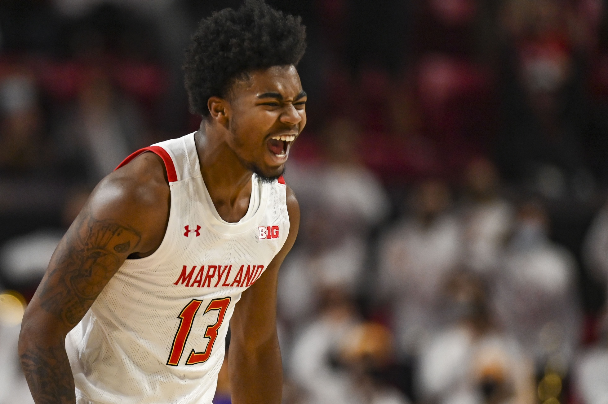 college basketball picks Hakim Hart Maryland Terrapins predictions best bet odds