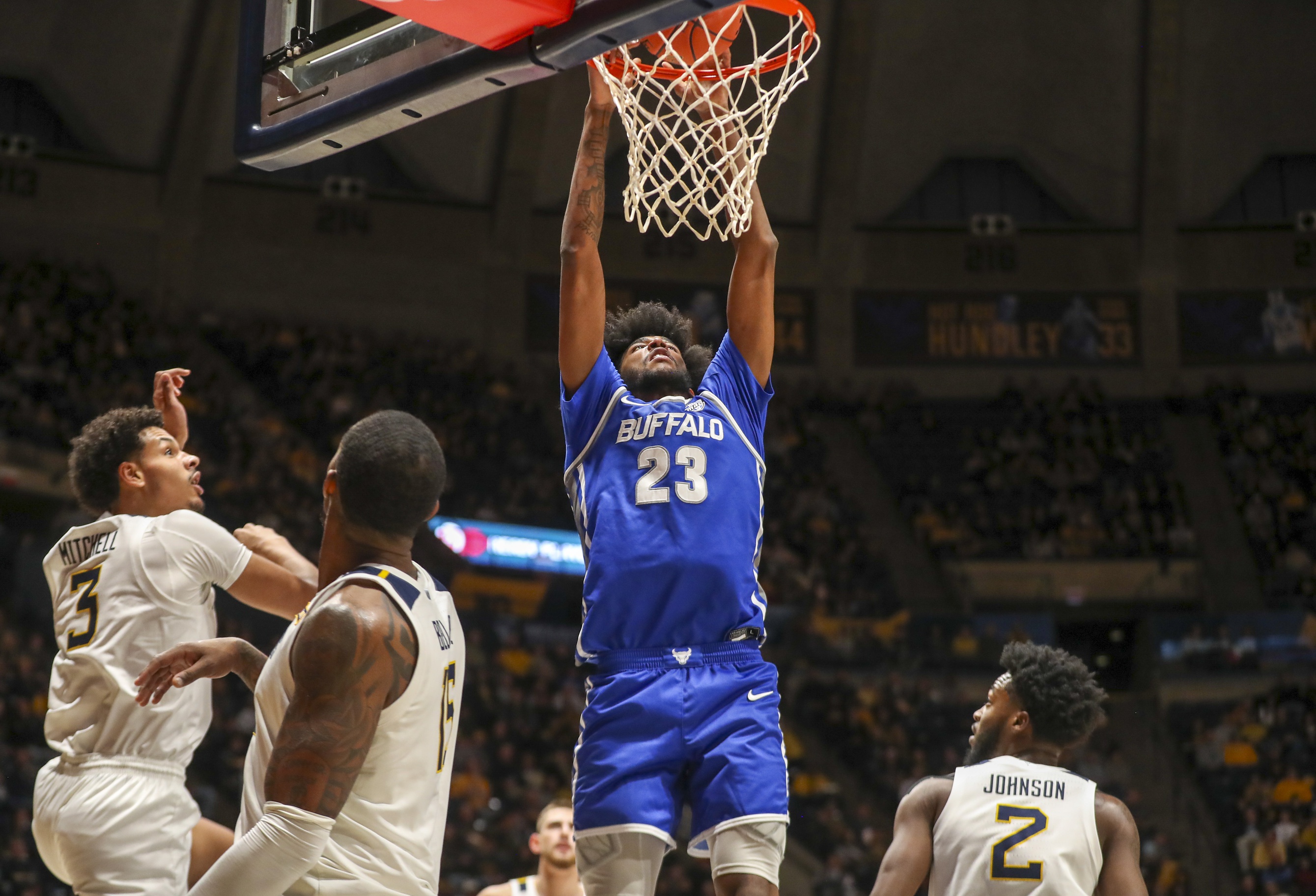 college basketball picks Isaiah Adams Buffalo Bulls predictions best bet odds