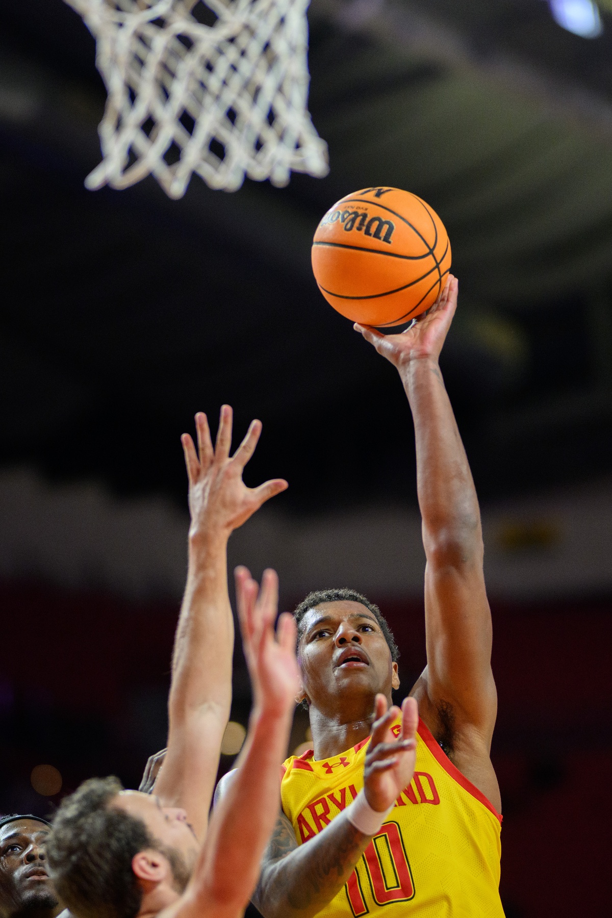 college basketball picks Julian Reese Maryland Terrapins predictions best bet odds