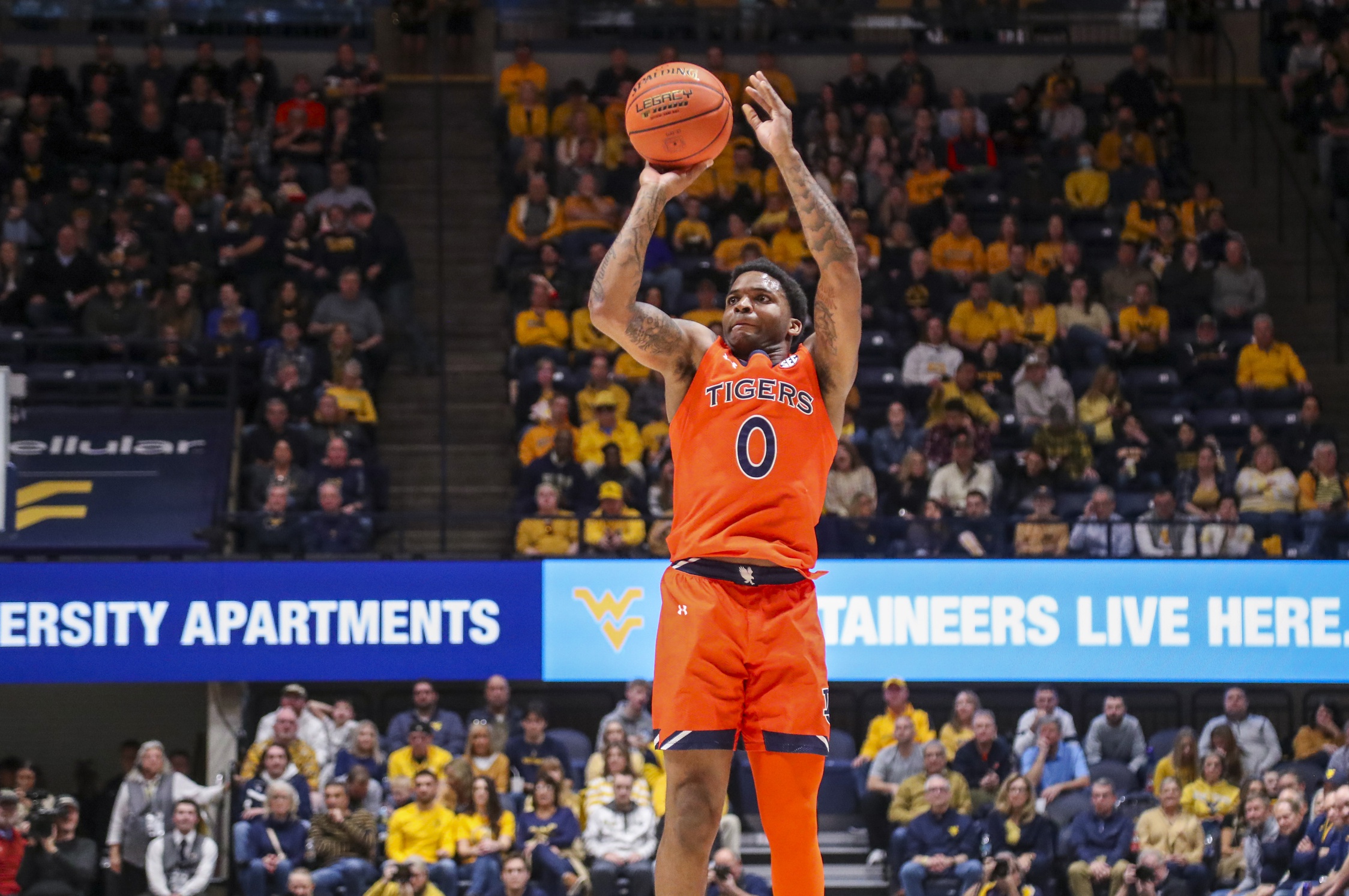 college basketball picks K.D. Johnson Auburn Tigers predictions best bet odds