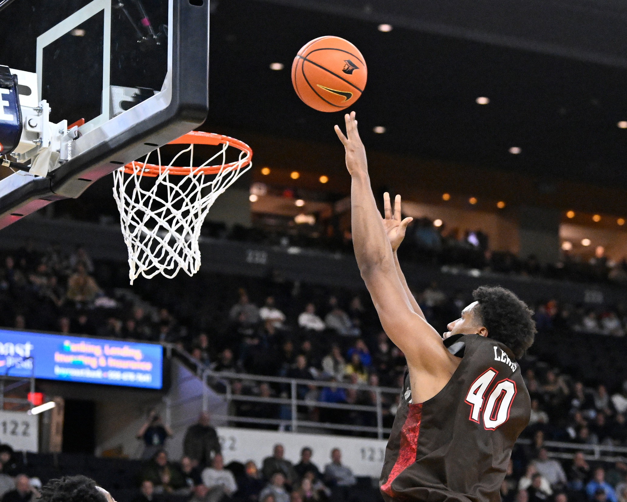 college basketball picks Landon Lewis Brown Bears predictions best bet odds