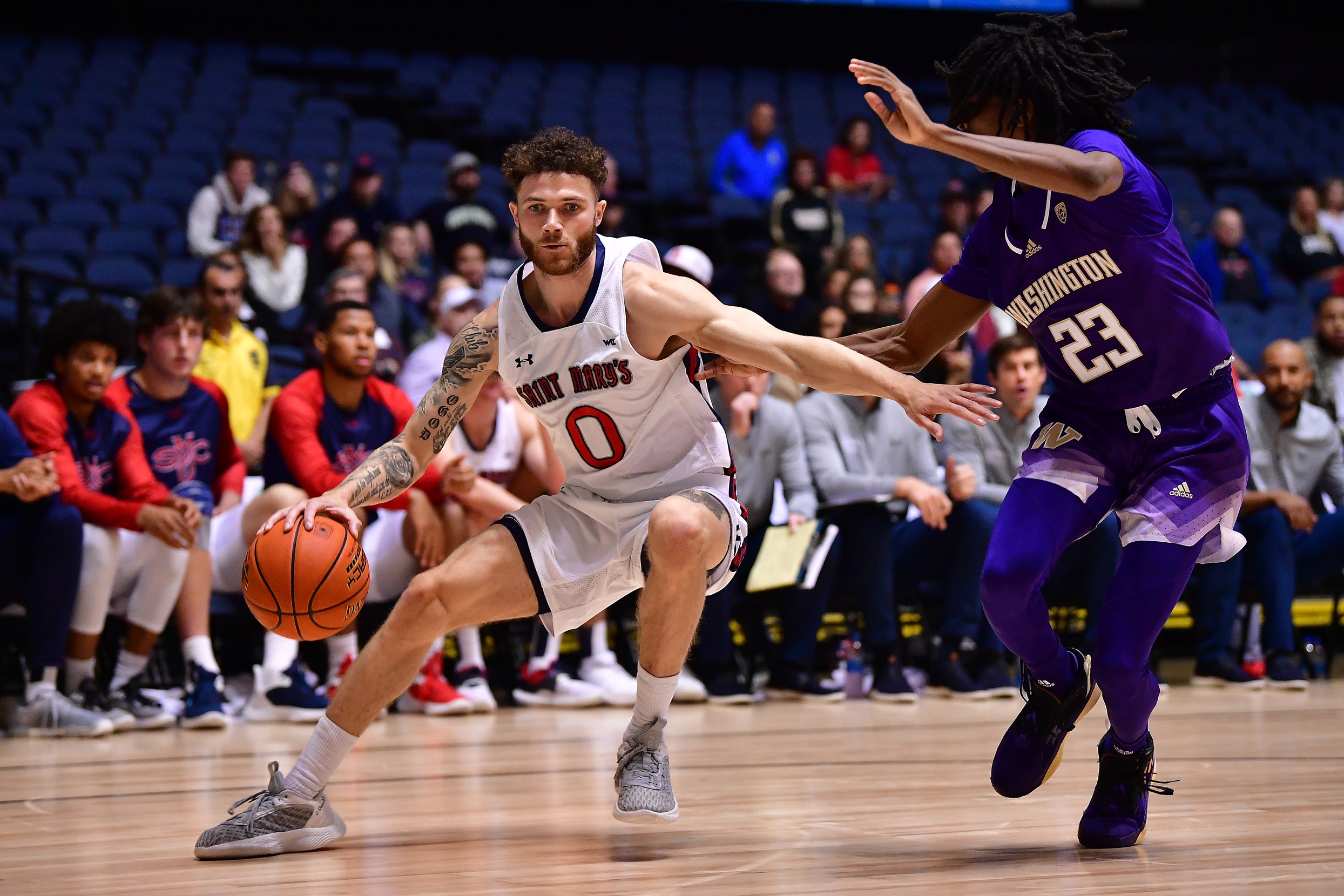college basketball picks Logan Johnson St. Mary's Gaels predictions best bet odds