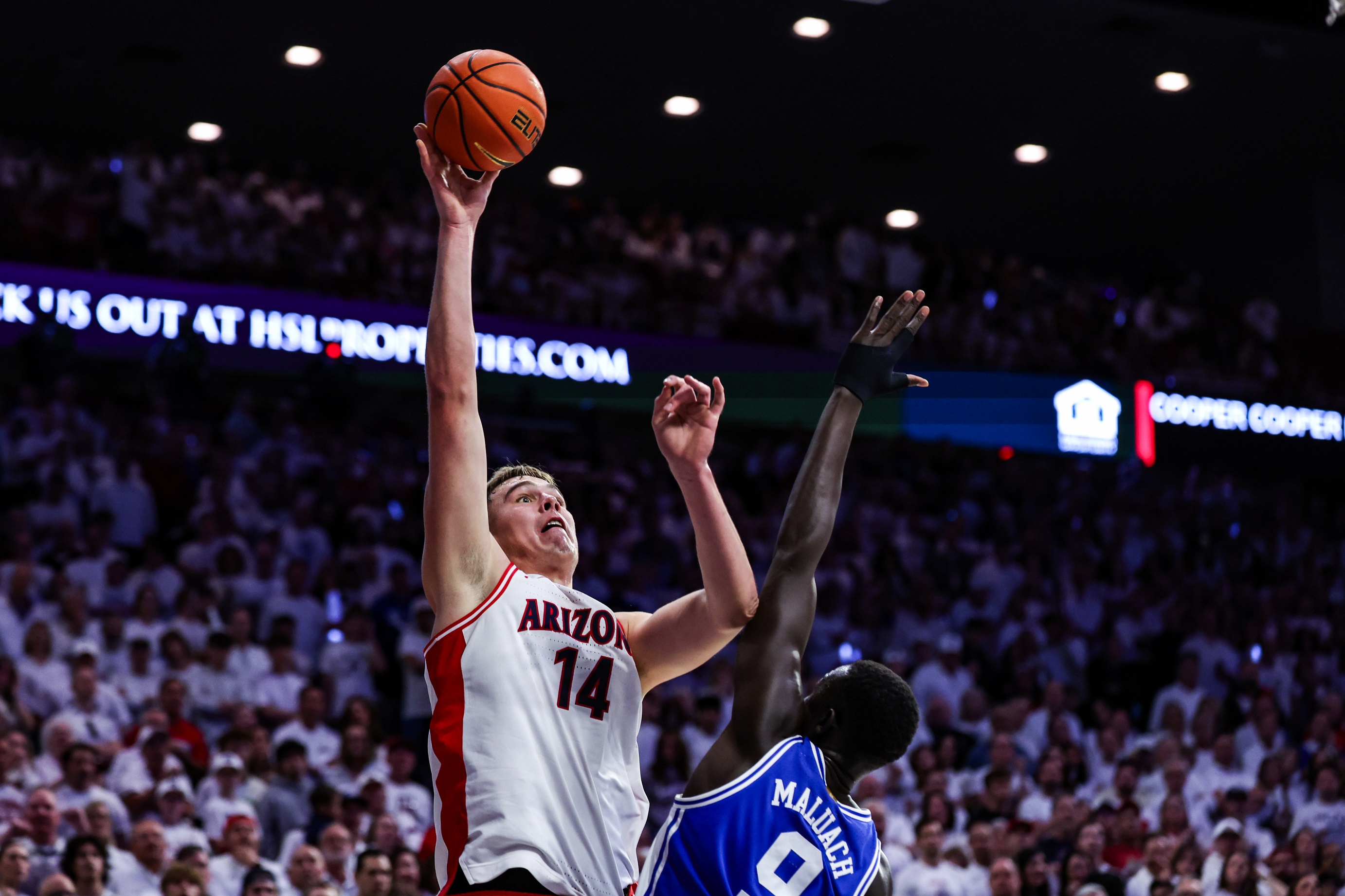 college basketball picks Motiejus Krivas Arizona Wildcats predictions best bet odds