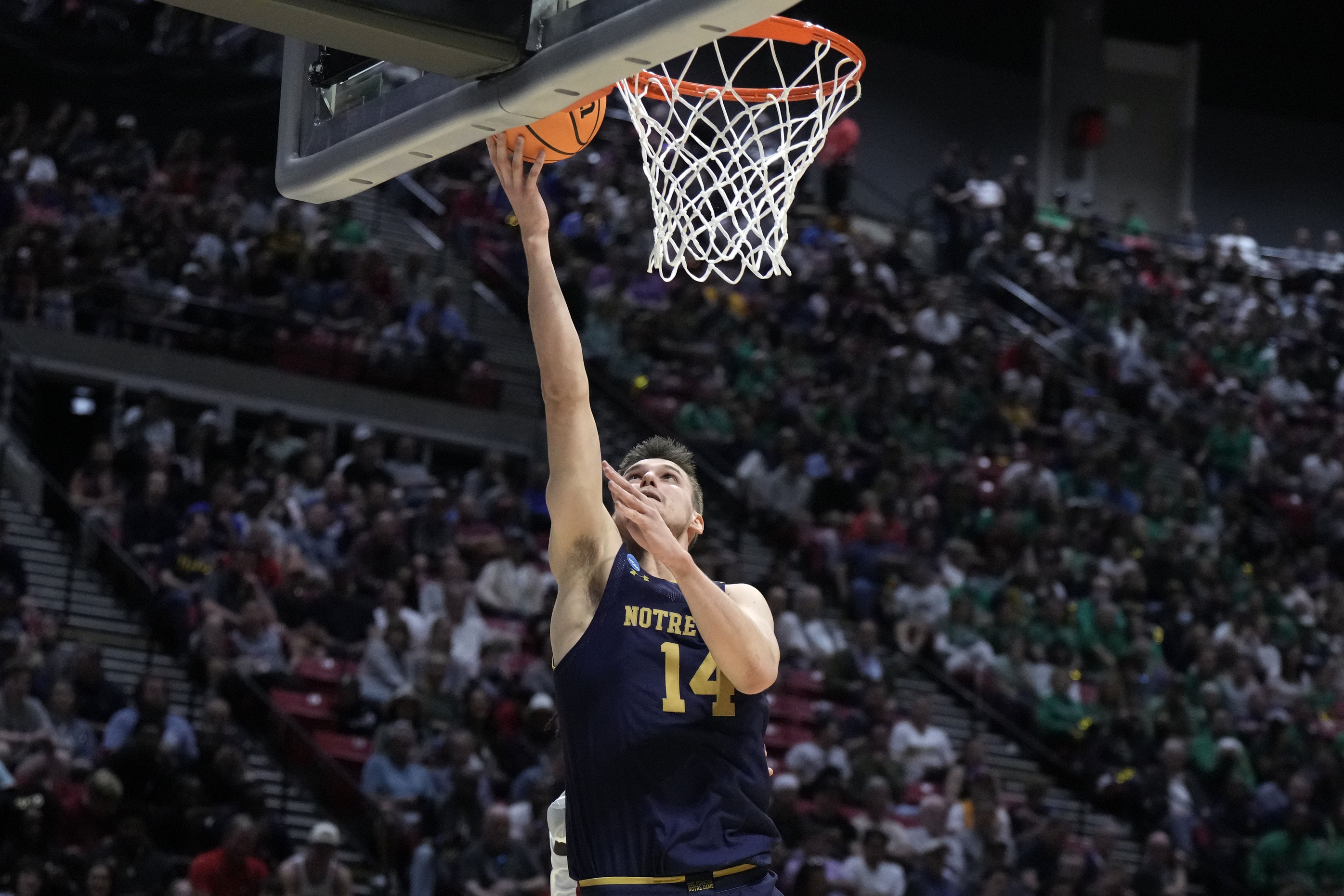 college basketball picks Nate Laszewski Notre Dame Fighting Irish predictions best bet odds
