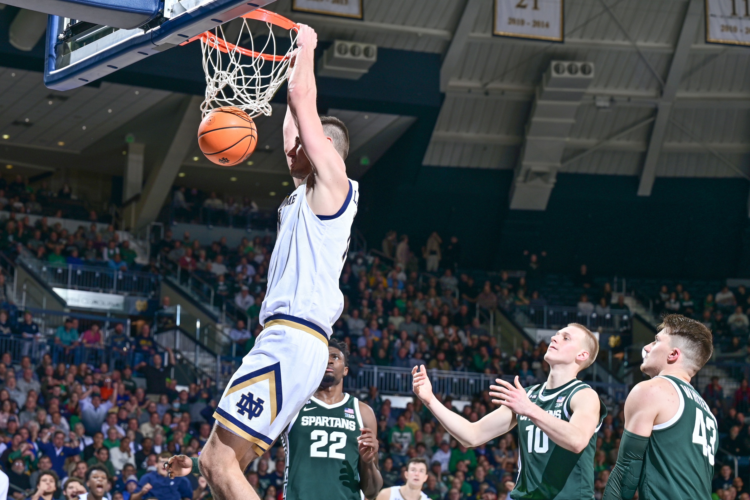 college basketball picks Nate Laszewski Notre Dame Fighting Irish predictions best bet odds