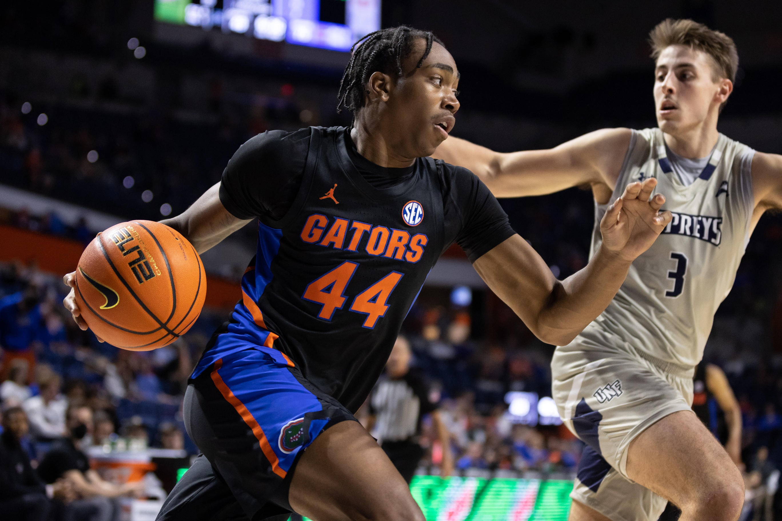college basketball picks Niels Lane Florida Gators predictions best bet odds