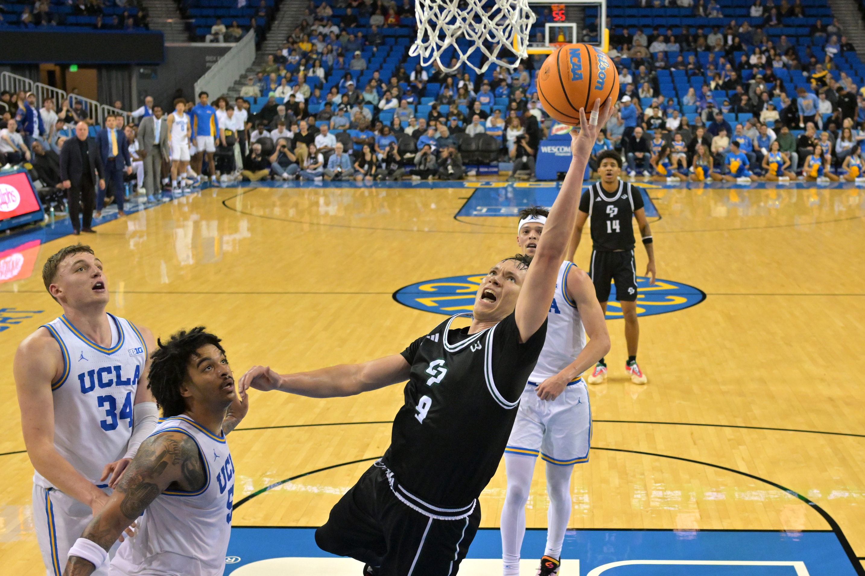 college basketball picks Peter Bandelj Cal Poly Mustangs predictions best bet odds
